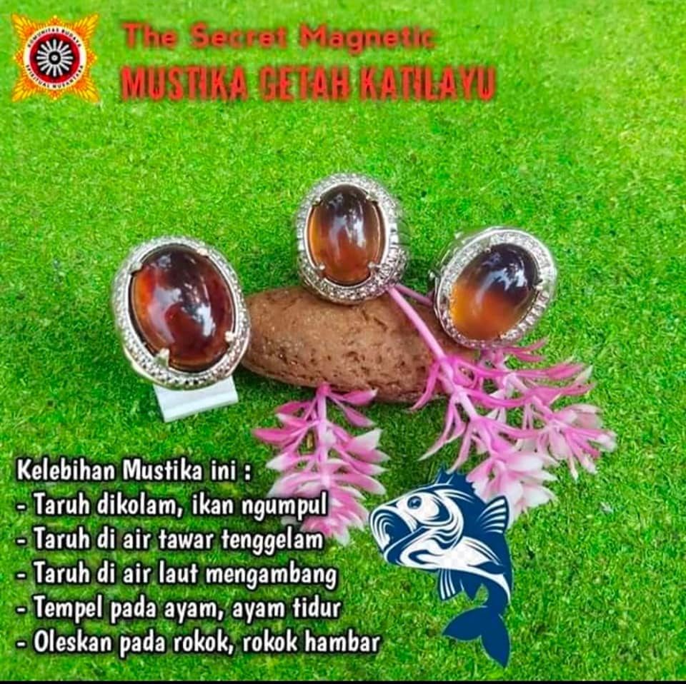 THE SECRET MAGNETIS MUSTIKA GETAH KATILAYU